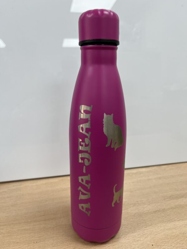 Engraved 500ml Thermos Bottle - Cat Theme